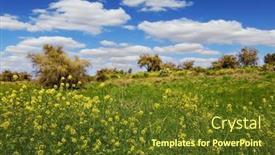  Presentation with clean air - Slide deck featuring common-colza-is-a-honey background and a  colored foreground