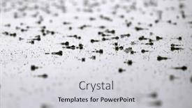  Presentation with green lake - Presentation theme having common-green-frog-lake-frog background and a light gray colored foreground