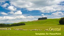  Presentation with new zealand - Slides with common-view-in-the-new background and a tawny brown colored foreground