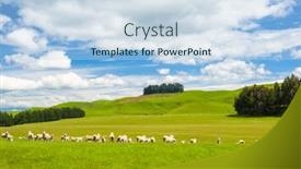  Presentation with new zealand - Slide set enhanced with common-view-in-the-new background and a sky blue colored foreground