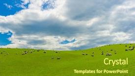  Presentation with green hills - Colorful PPT theme enhanced with common view in the new zealand - hills covered by green grass with herds of sheep backdrop and a tawny brown colored foreground