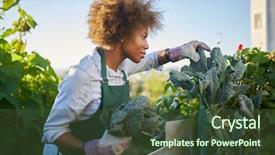  Presentation with motherhood and african american - Presentation theme consisting of communalism - african american woman tending background and a tawny brown colored foreground