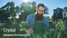  Presentation with fresh man chemistry - Slide deck featuring communalism - bearded man with bunch freshly background and a ocean colored foreground