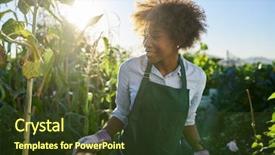  Presentation with crops - Presentation design having communalism - happy african american gardener tending background and a tawny brown colored foreground