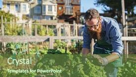 Presentation with urban neighborhood plans - Slide deck featuring communalism - man tending to kale plants background and a  colored foreground