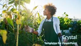  Presentation with community garden - Amazing PPT theme having communalism - young african american woman tending backdrop and a forest green colored foreground