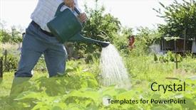  Presentation with role play woman and man - Presentation design featuring community care - midsection of senior man watering background and a yellow colored foreground