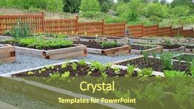  Presentation with community garden - Cool new slides with community vegetable garden boxes backdrop and a tawny brown colored foreground