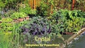  Presentation with community garden - PPT layouts featuring community vegetable garden plot growing background and a tawny brown colored foreground