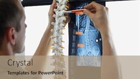  Presentation with spine - Audience pleasing presentation consisting of comparative-analysis-of-spine-model backdrop and a coral colored foreground