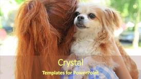  Presentation with adoption - PPT theme featuring compassion - woman holding dog adoption concept background and a red colored foreground