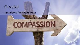  Presentation with compassion - Colorful PPT layouts enhanced with red calliandra carbonaria flower colombia south america backdrop and a tawny brown colored foreground.