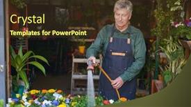  Presentation with nursery plant - Slides consisting of competent-gardener-watering-flowers background and a tawny brown colored foreground