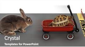  Presentation with rabbit - Theme enhanced with competitive advantage - turtle winning the race background and a dark gray colored foreground