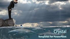  Presentation with sharks - PPT layouts consisting of glasses of fresh beer and plate with yummy fried anchovies on wooden table outdoors background and a gray colored foreground