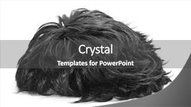  Presentation with hair - Presentation design consisting of complement - black hair wig background and a dark gray colored foreground