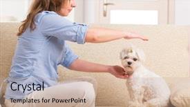  Presentation with reiki - Beautiful presentation design featuring complementary alternative therapies - woman doing reiki therapy backdrop and a coral colored foreground