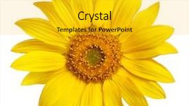  Presentation with perfect for corruption - PPT theme featuring completely isolated on white background background and a gold colored foreground