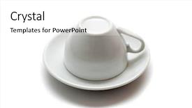  Presentation with double down - Beautiful presentation featuring parrot backdrop and a mint green colored foreground