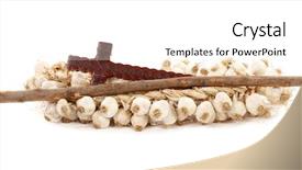  Presentation with garlic - Slide deck featuring set against vampires hawthorn stake background and a white colored foreground