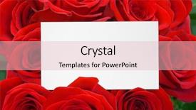  Presentation with roses - Colorful presentation theme enhanced with paper card and roses bouquet backdrop and a lemonade colored foreground