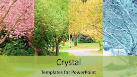  Presentation with four seasons - PPT layouts consisting of composite collage of four image background and a yellow colored foreground