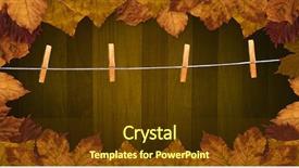 Presentation with autumn leaves - Presentation having composite of autumn leaves border background and a tawny brown colored foreground