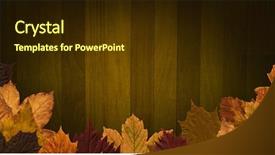  Presentation with autumn wood - Beautiful presentation theme featuring composite of autumn leaves border backdrop and a  colored foreground