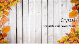  Presentation with autumn leaves - Presentation having composite of autumn leaves border background and a  colored foreground