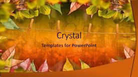  Presentation with fall leaves border autumn - Slides consisting of composite of autumn leaves border background and a gold colored foreground