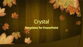  Presentation with autumn leaves - Amazing presentation theme having composite of autumn leaves border backdrop and a  colored foreground