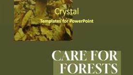  Presentation with future - PPT theme with composite-of-care-for-forests and a tawny brown colored foreground
