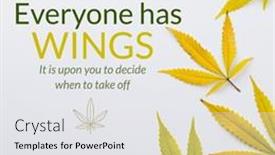  Presentation with text message - Theme consisting of composite-of-everyone-has-wings background and a white colored foreground