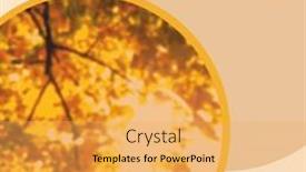  Presentation with composite - Slide set featuring composite-of-hello-september-text and a  colored foreground