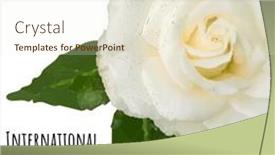  Presentation with white rose - Presentation design having composite-of-international-missing-children background and a cream colored foreground