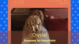  Presentation with poodle - Presentation theme enhanced with composite-of-may-national-pet background and a tawny brown colored foreground