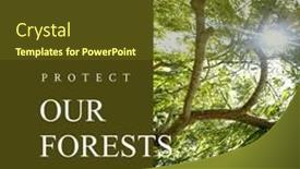  Presentation with nature sun trees - PPT layouts consisting of composite-of-protect-our-forests and a tawny brown colored foreground