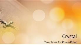  Presentation with composite - Slide deck enhanced with composite of rosary on bible background and a lemonade colored foreground