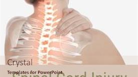  Presentation with spinal cord injury - Slide set with composite-of-spinal-cord-injury background and a lemonade colored foreground