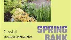  Presentation with plants growing - Presentation theme featuring composite-of-spring-bank-holiday background and a blonde colored foreground