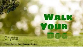  Presentation with animal nature - Slide deck with composite-of-walk-your-dog background and a  colored foreground