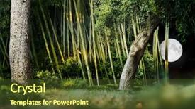  Presentation with moon trees - Theme with composition of a japanese garden background and a tawny brown colored foreground