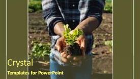  Presentation with celebrate - Presentation theme having composition-of-arbor-day-celebrate background and a tawny brown colored foreground