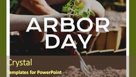  Presentation with tree planting - Slide set having composition-of-arbor-day-celebrate background and a tawny brown colored foreground