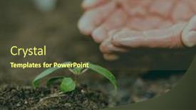  Presentation with seedling - PPT theme featuring composition-of-arbor-day-text background and a tawny brown colored foreground