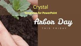  Presentation with celebration - Presentation theme having composition-of-arbor-day-text background and a tawny brown colored foreground