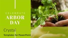  Presentation with seedling - PPT theme enhanced with composition-of-arbor-day-text background and a gold colored foreground