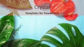  Presentation with tropical flowers - Colorful theme enhanced with composition of beautiful tropical leaves and flowers on color background backdrop and a red colored foreground