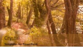  Presentation with trees - Presentation design having composition-of-blurred-forest background and a gold colored foreground