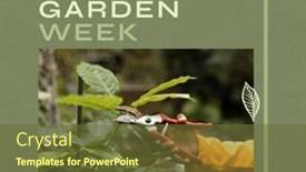  Presentation with community garden - PPT theme enhanced with composition-of-community-garden-week background and a  colored foreground